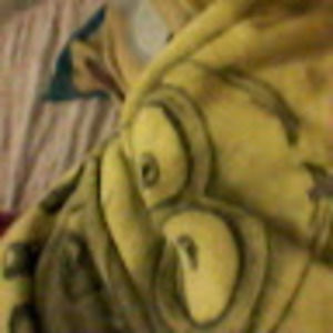 Meet your Posher, Lizzy